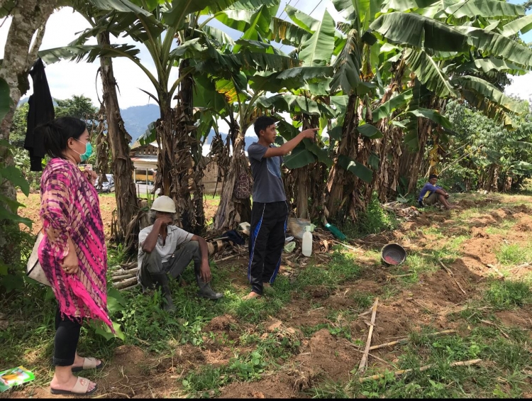 PEMANFAATAN PLANT GROWTH PROMOTING RHIZOBACTERIA DAN MIKORIZA UNTUK MENINGKATKAN PRODUKSI CABAI PADA LAHAN SUB- OPTIMAL